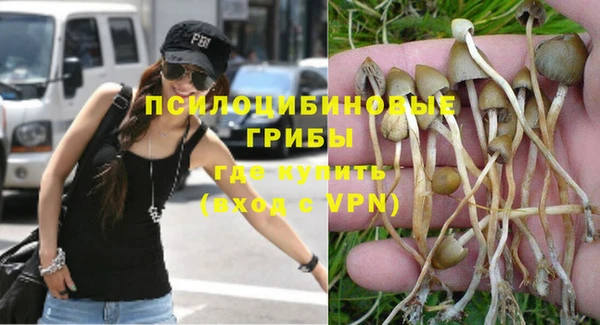 apvp Балабаново