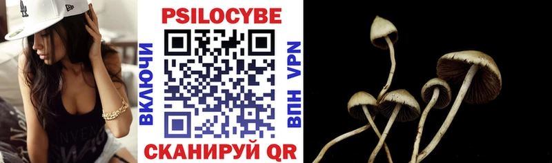 где продают   Белово  Псилоцибиновые грибы Magic Shrooms 